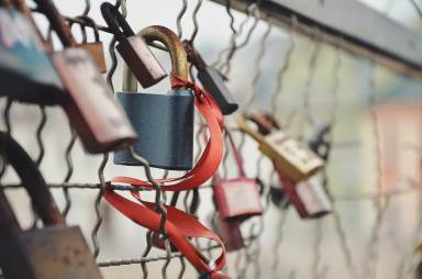 Locks on fence